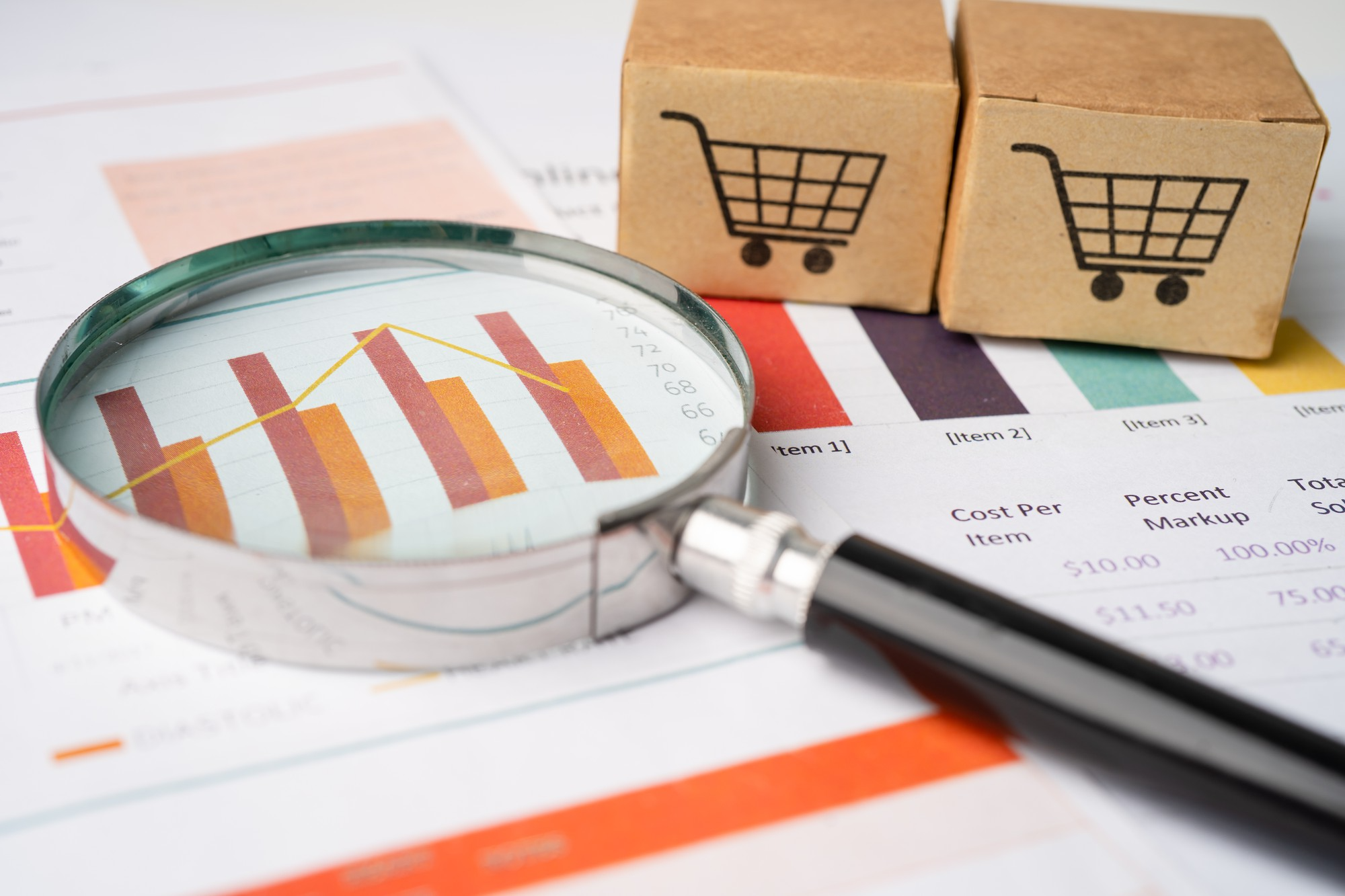 India retail market research visualization